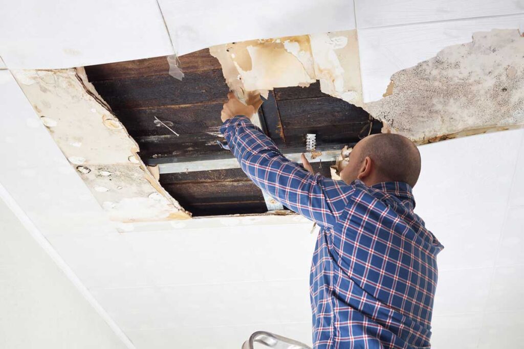 Man inspection water damaged ceiling tiles
