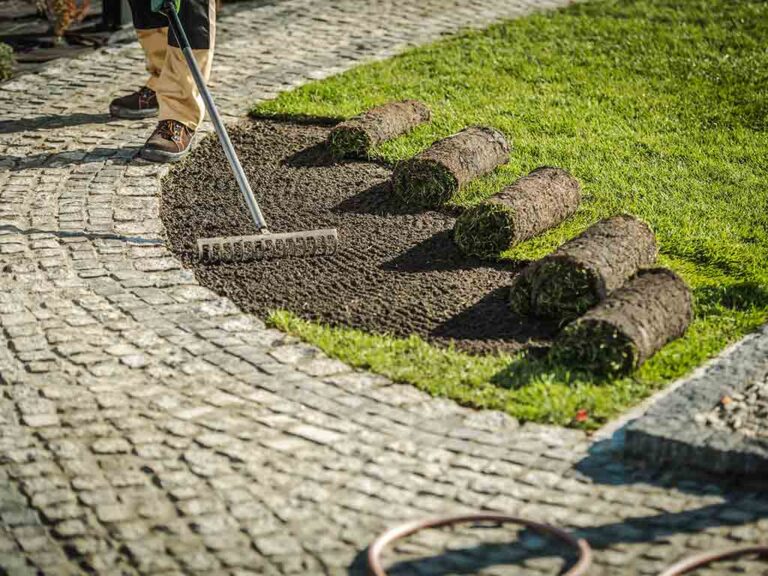 new sod being installed